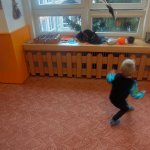 phoca_thumb_m_kostmov dopoledne 71 Fotogalerie